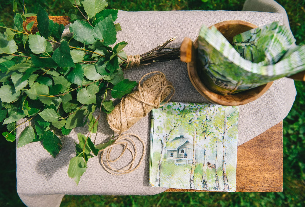 Havi napkin Rantasauna 20pcs/33cm