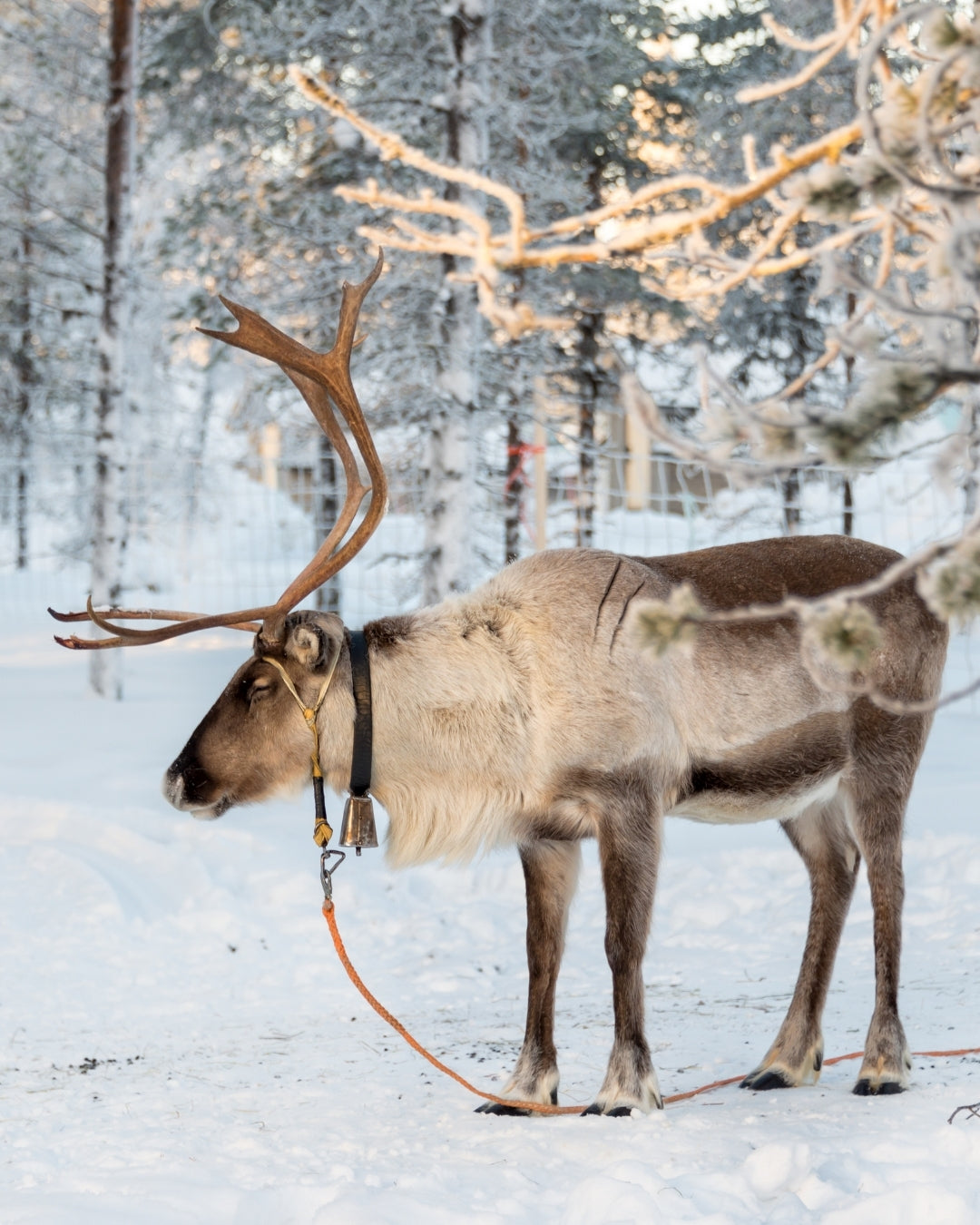 Joulun ja uuden vuoden aukioloajat 2025